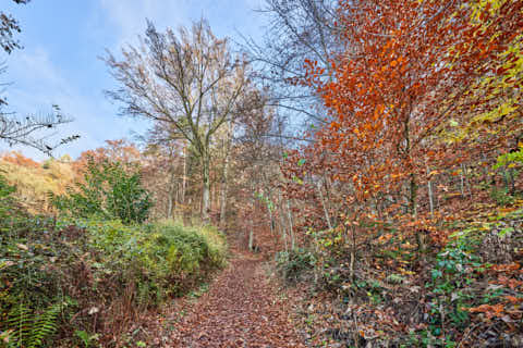 Gemeinde Julbach Landkreis Rottal-Inn Schlossberg Herbst (Dirschl Johann) Deutschland PAN